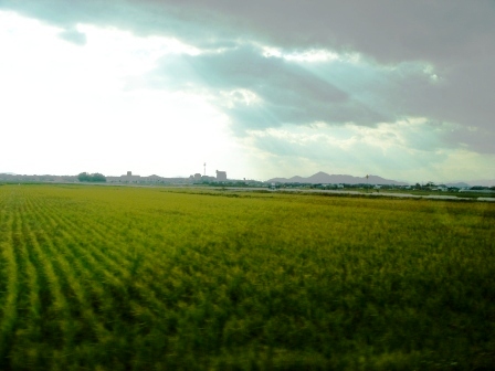 a0005476_0194294.jpg