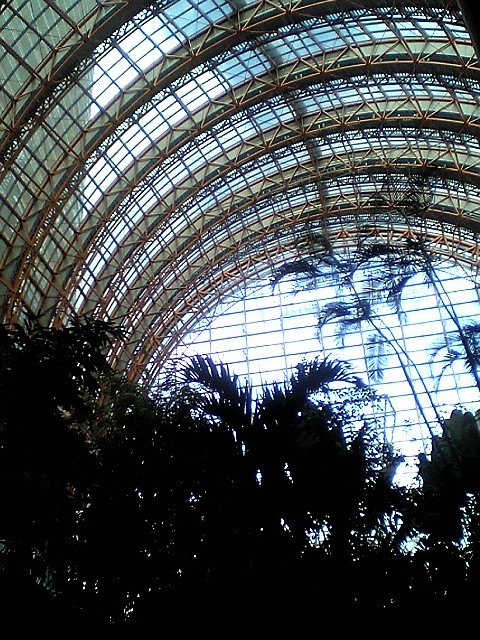 b0029704_125148.jpg