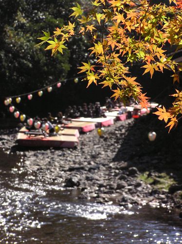 京都高雄-6　_a0030149_1619720.jpg