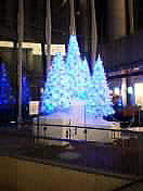 a0024005_0361629.jpg