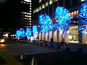 a0024005_3465268.jpg
