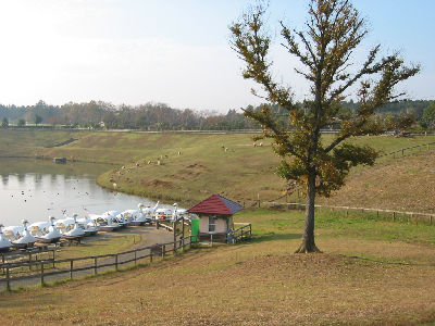 a0013905_23362892.jpg