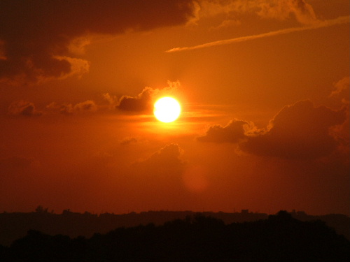 a0000029_11415198.jpg