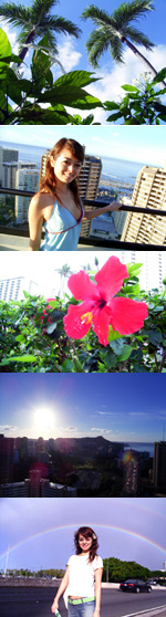 ハワイ編(1) イントロ_b0007805_0173164.jpg