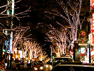 渋谷イルミネーション 道玄坂編_b0056983_14533821.jpg