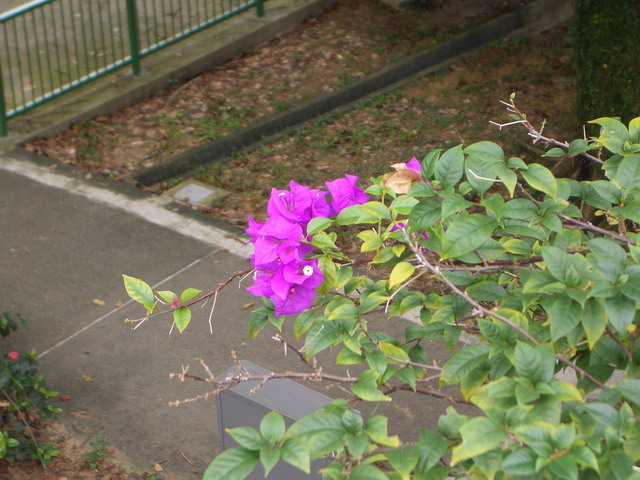 a0002177_14671.jpg