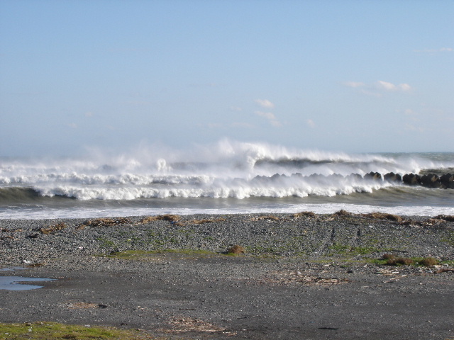 海坊主に会いに_a0034990_19252596.jpg