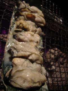 マネーの虎の虎が来店_a0019032_16534233.jpg