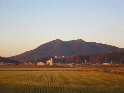 b0038570_1754458.jpg