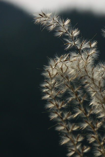 鎌北湖の秋_b0010915_2258278.jpg