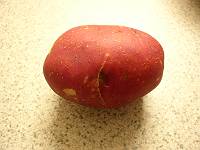 レッドポテト (RED POTATO)_b0042468_13594677.jpg