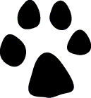 c0009219_16275187.gif