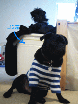 b0035453_8241037.gif