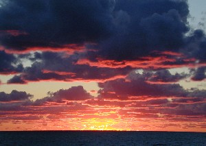 b0068572_18776.jpg