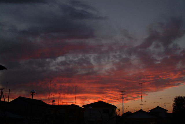 b0027880_2152551.jpg