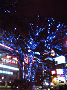 c0000587_2285687.jpg