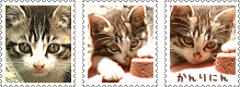 c0002407_05057.gif
