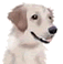 c0000102_17344162.gif