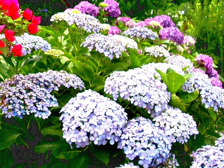 c0010764_0553485.jpg