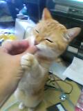 困ったネタが無い…_b0017829_13145.jpg