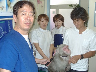 診療動物のご紹介_b0059154_22322743.jpg