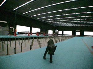 plants! 大宰府の散歩_a0010575_10325551.jpg