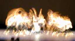 b0034758_2223142.jpg