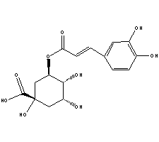 b0022361_218870.gif