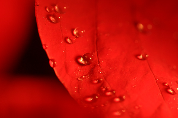 b0067789_2133931.jpg