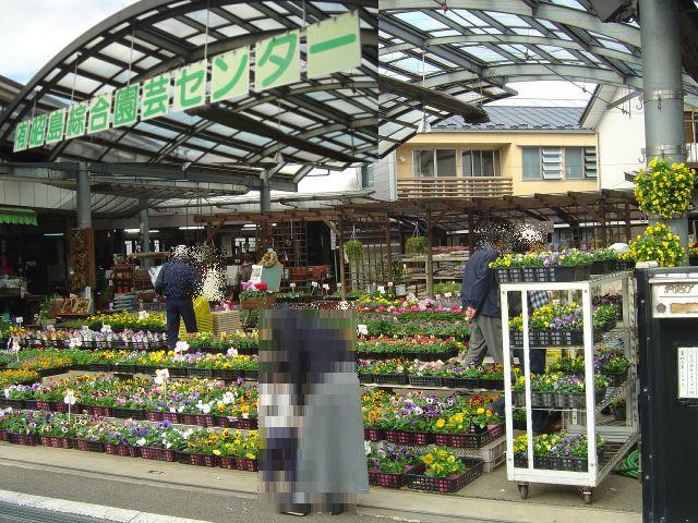 昭島総合園芸センター ローカルinfo 昭島 地ログ 昭島総合園芸センター ローカルinfo 昭島 地ログ