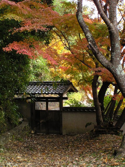 山門　　　　　―宝福寺―_b0048469_1759534.jpg