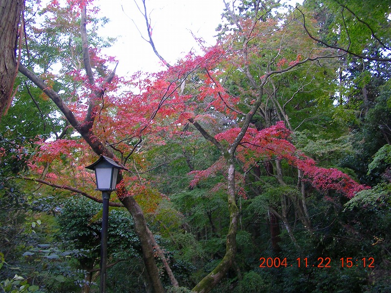 城・紅葉_b0013464_22115524.jpg