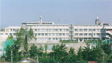 b0040332_235873.jpg