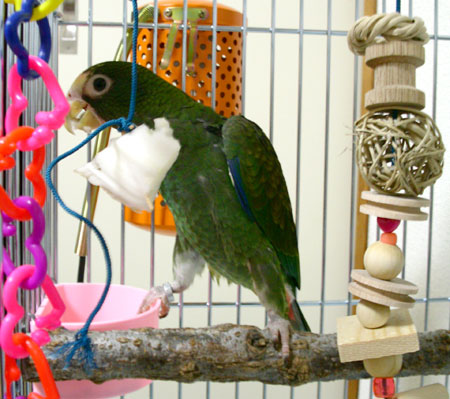 c0004078_11364456.jpg