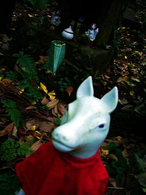 b0041894_12203238.jpg