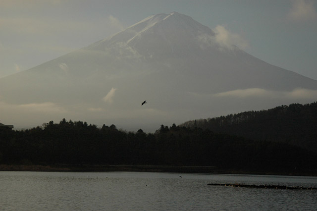 河口湖からの富士山_c0013508_2361748.jpg