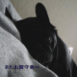 b0035453_16523479.gif