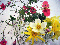 11月20日　今週の花_b0037160_1521997.gif