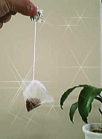 b0055215_21354586.gif
