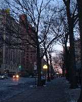 a0027277_11535614.jpg