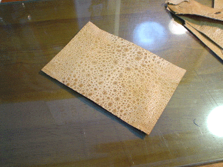b0047907_11335025.gif