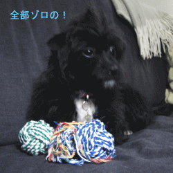 b0035453_15512315.gif