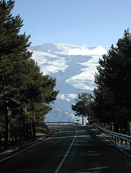 c0009070_9144262.jpg