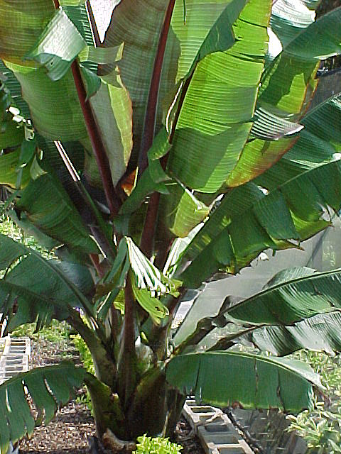 b0018682_22534177.jpg