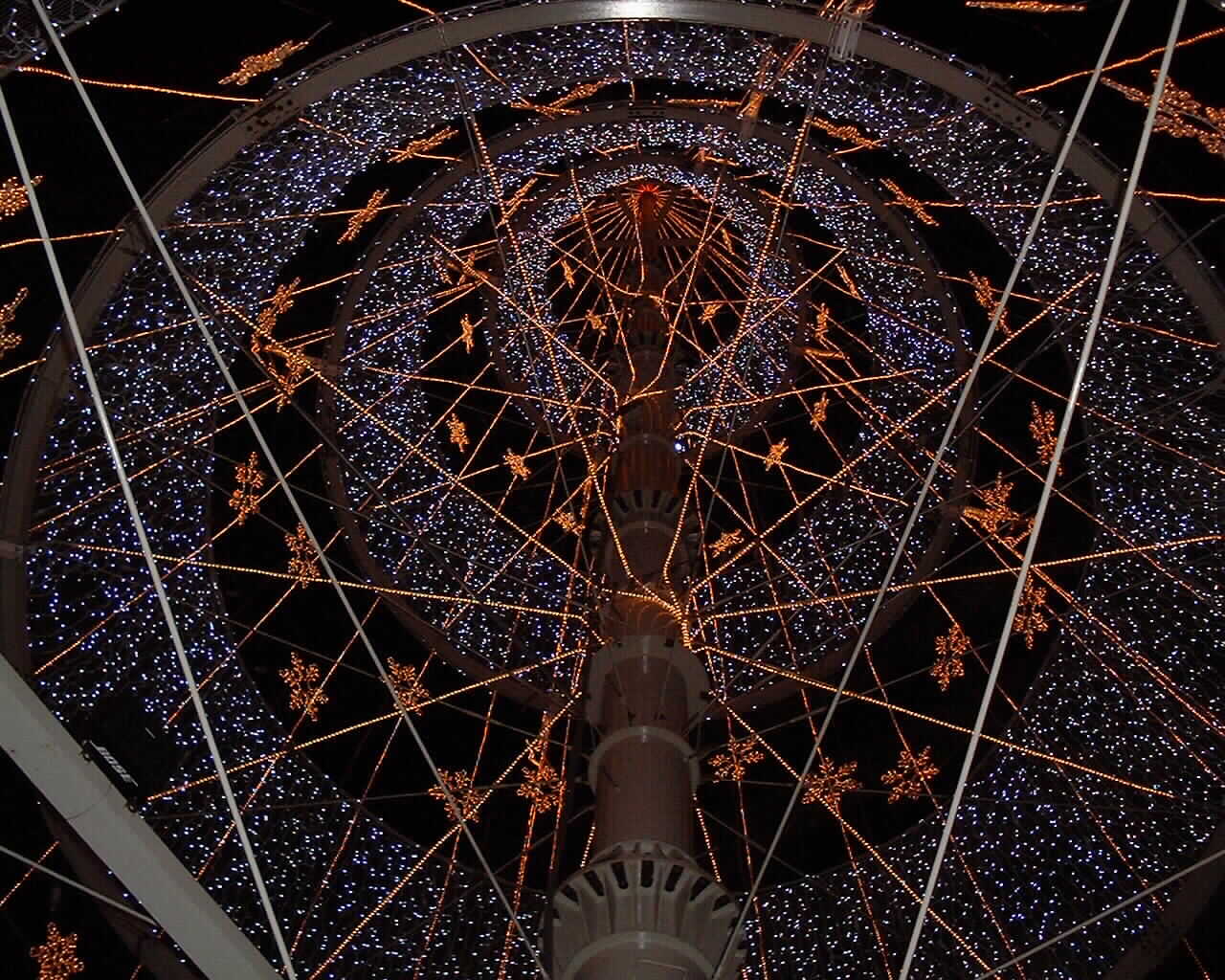 b0055247_229454.jpg