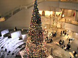 クリスマスイブの出張（4)（東京オペラシティ） _a0034054_14011.jpg
