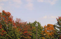 a0033552_22185177.jpg