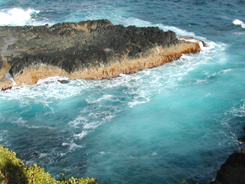 c0008153_23311317.jpg