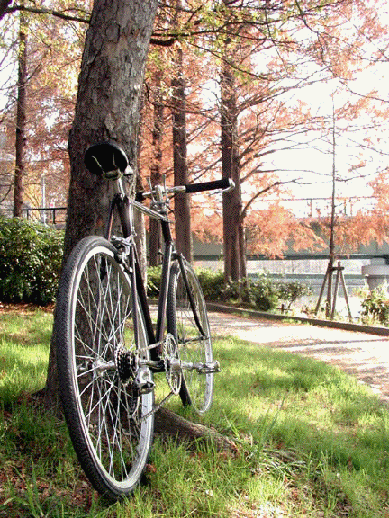 c0015099_0184624.gif
