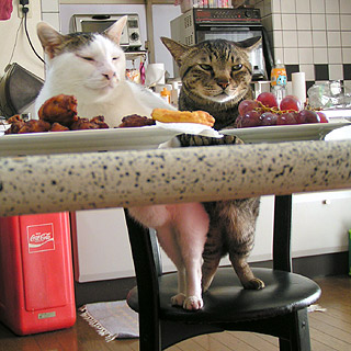 今日のはらへり〜ず2004.12.26_a0028451_21409.jpg